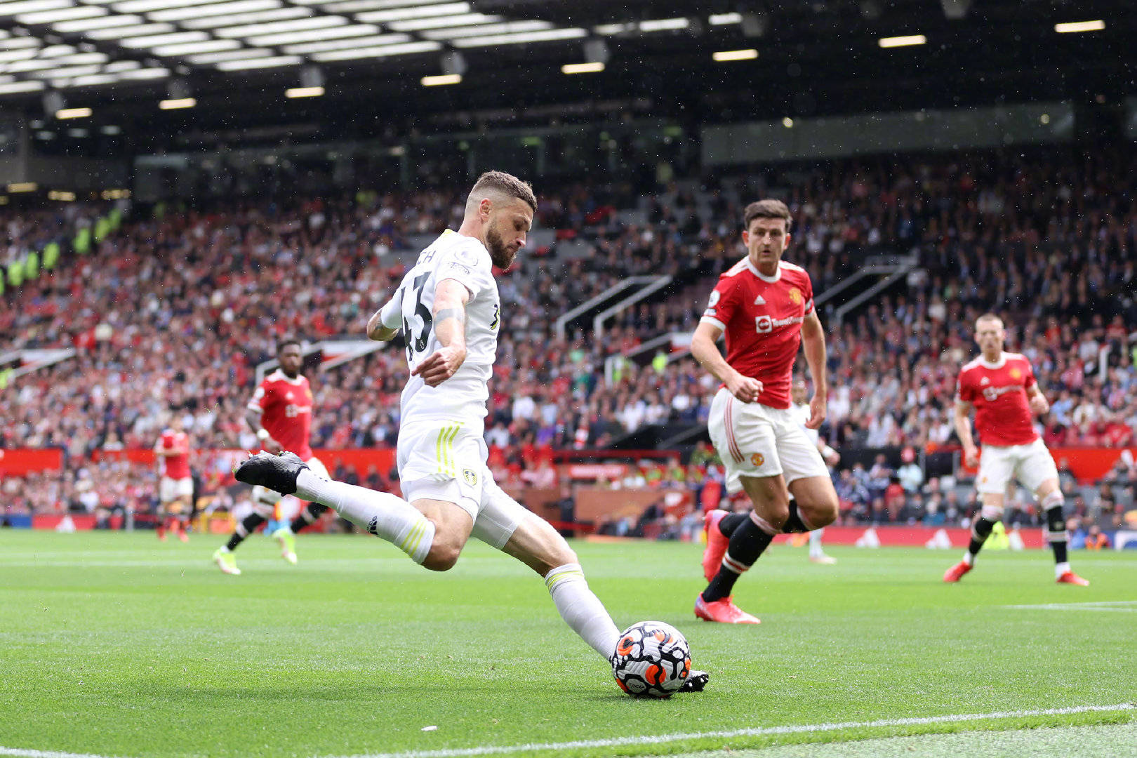 的独特地位 的独特地位