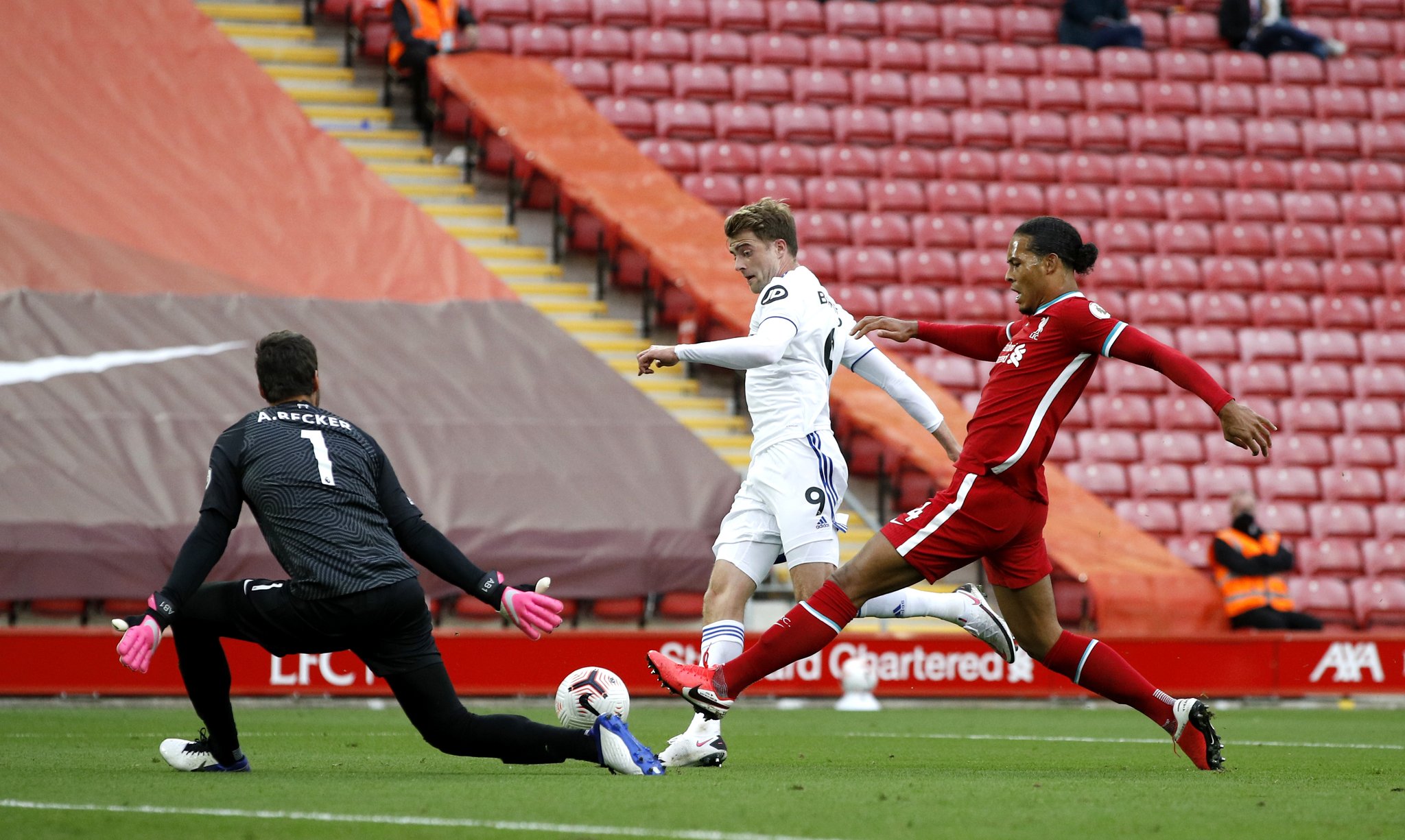 新星也是 新星也是